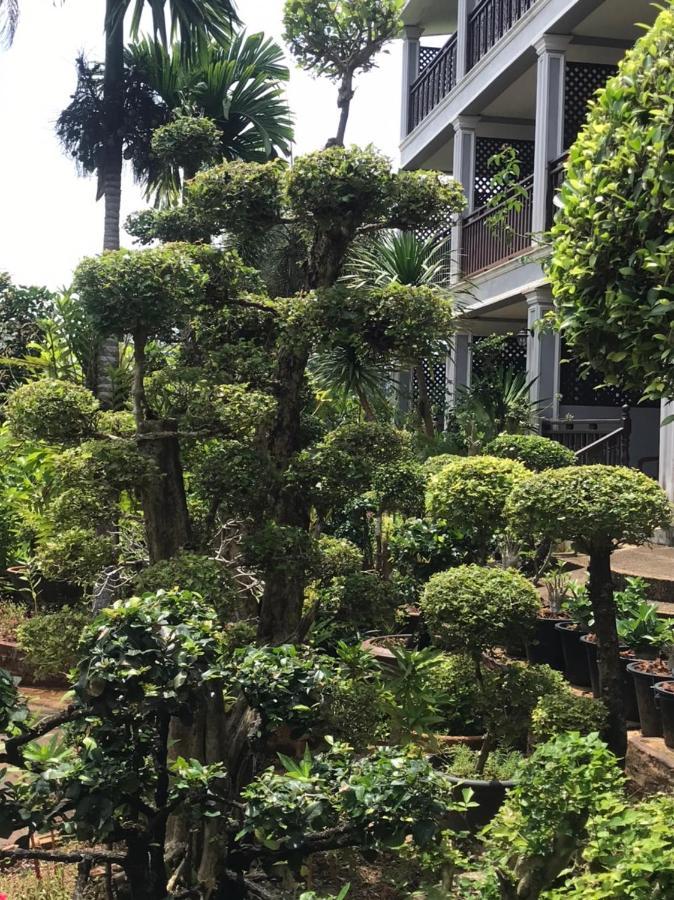 度假村 普拉图度假酒店 2*